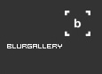 the blur gallery homepage